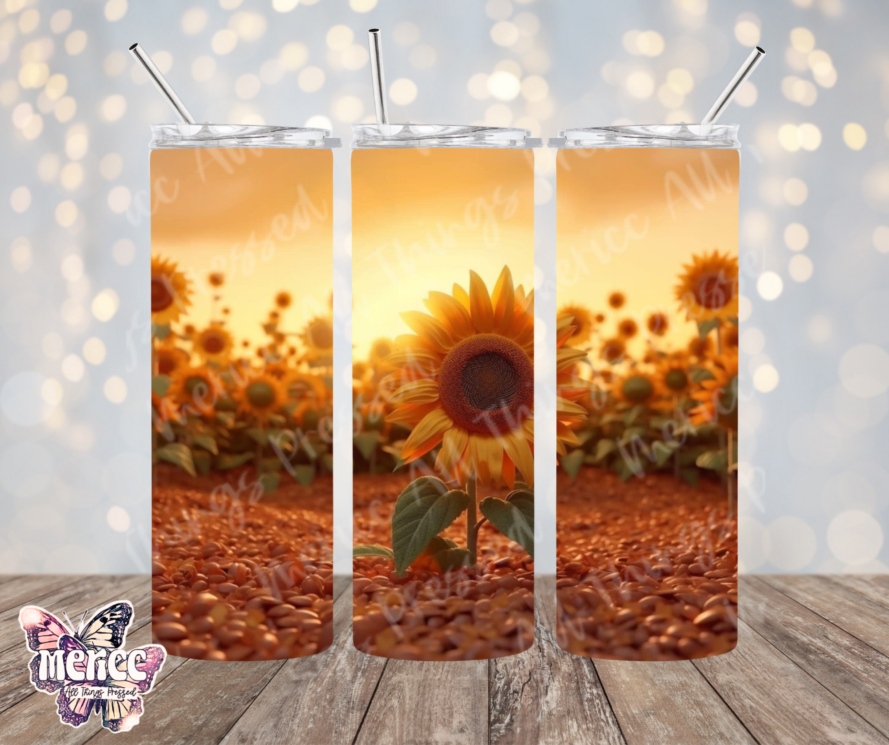 Sunflower Growing 0008