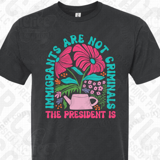 Immigrants are not criminals