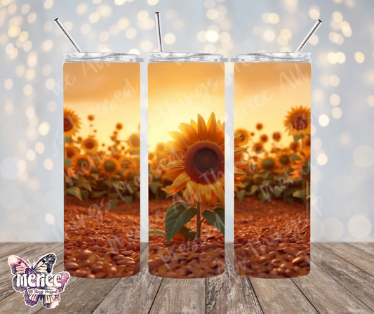 Sunflower Growing 0008